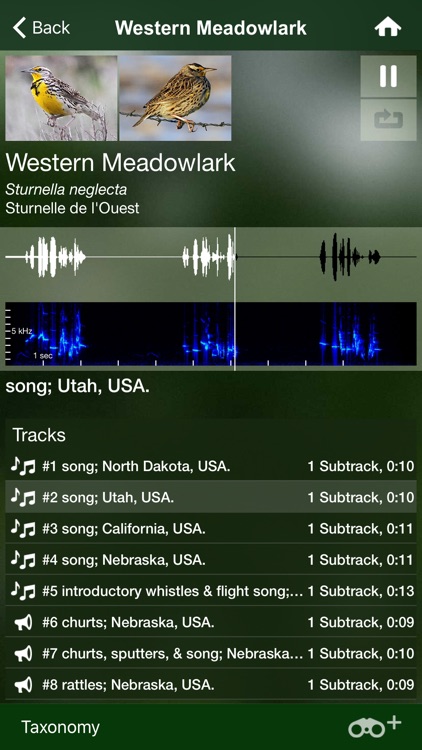 Bird Songs USA & Canada (3100) screenshot-3