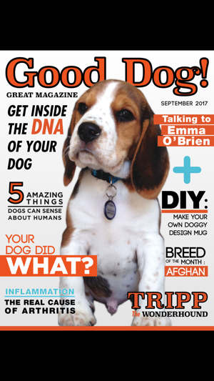 Good Dog (Magazine)