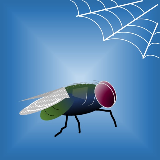Fly vs Spider icon