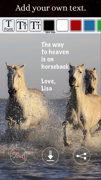 Horses - Wallpapers + Add Text screenshot-4