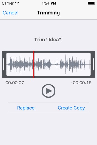 You Record Pro screenshot 3