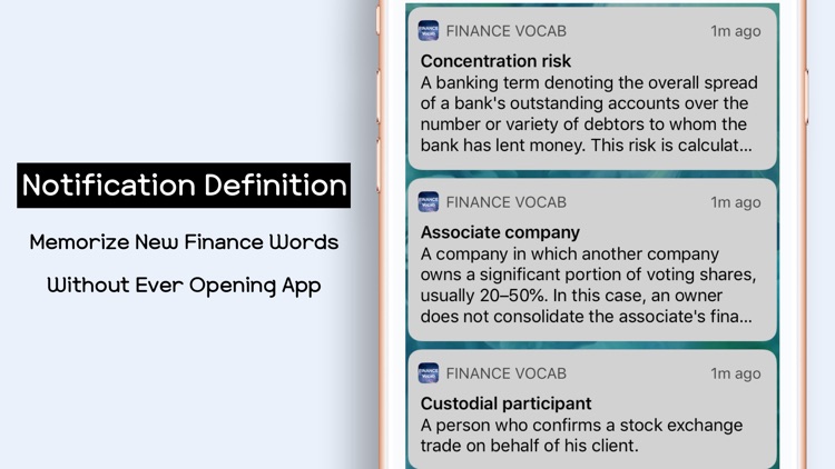 Finance Vocab screenshot-6