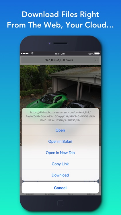 Offline - Files & Web Browser