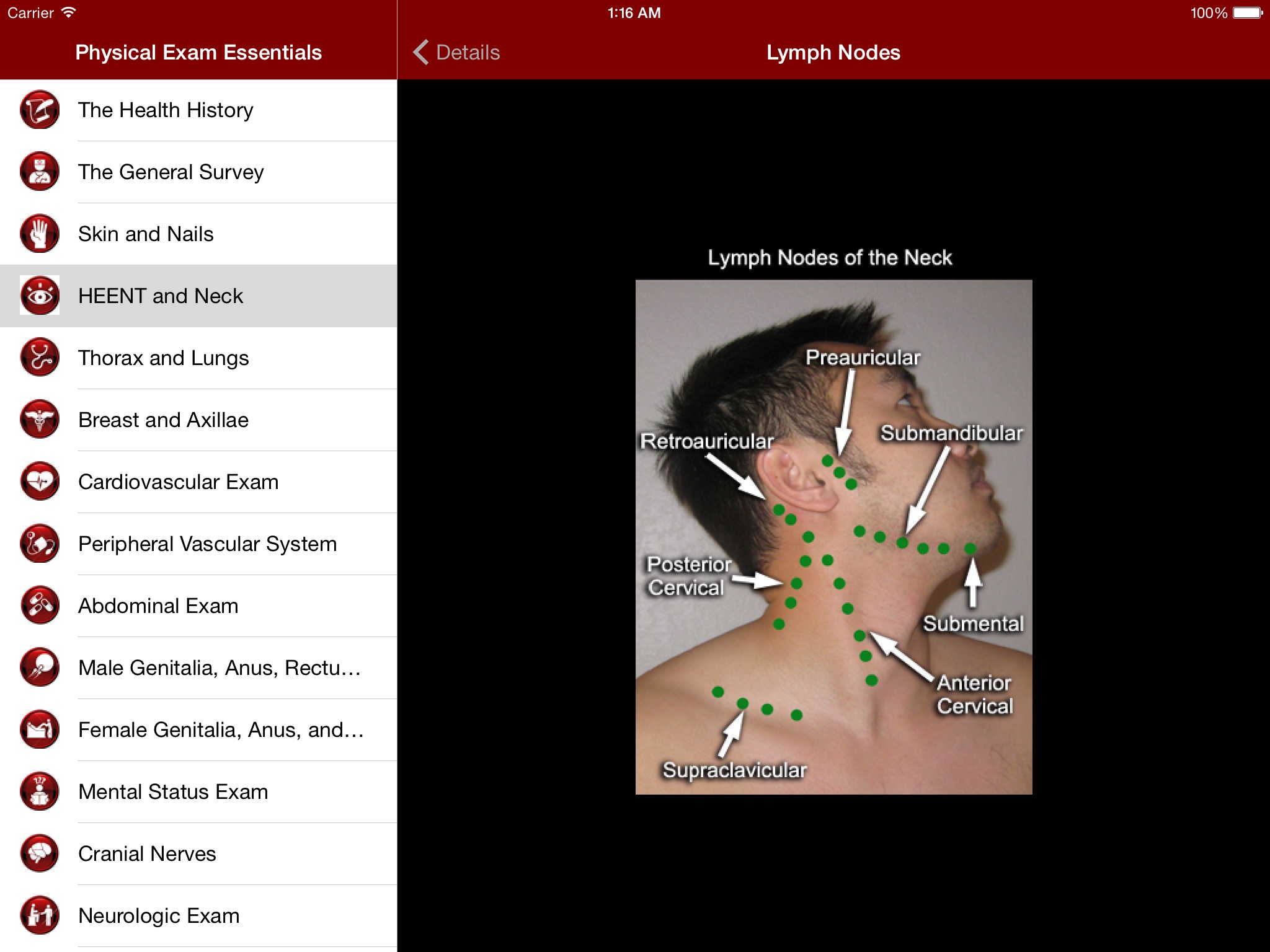 Physical Exam Essentials screenshot 4