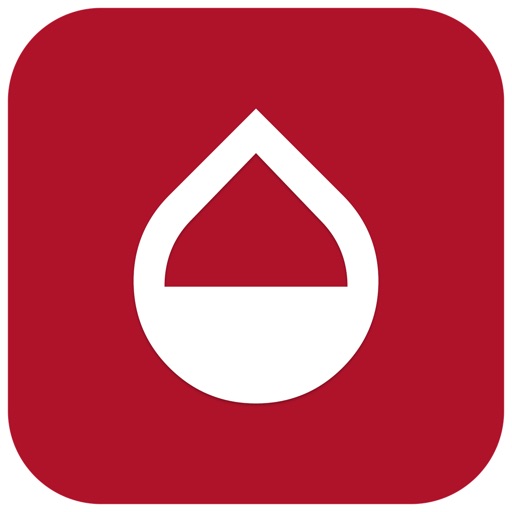 AG Dealer App Dev by Magister Solutions