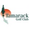 The Tamarack Golf app provides tee time booking for Tamarack Golf Club in Naperville, IL with an easy to use tap navigation interface