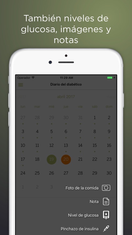 Insulclock | Diabetes