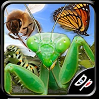 Course Insecte pour PC