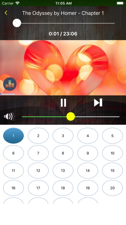 BooksAudio - AudioBook Library screenshot-3