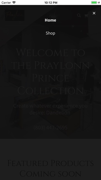 PraylonnPrince screenshot 2