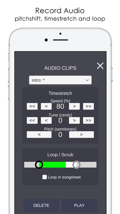 Musicians Notebook & Recorder screenshot-4