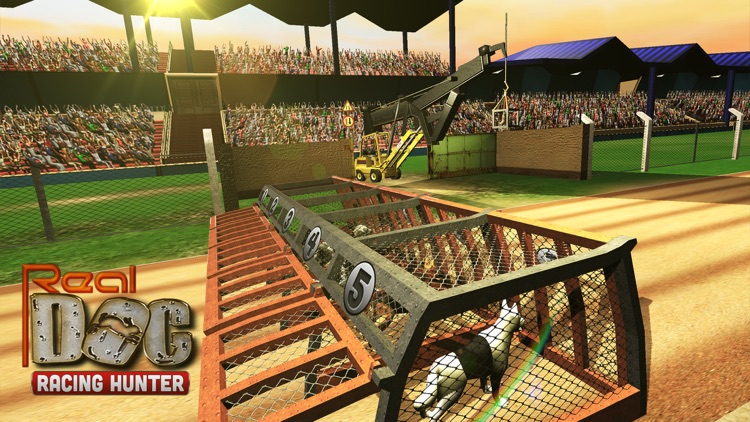 Real Dogs Racing Bunny Hunter screenshot-5