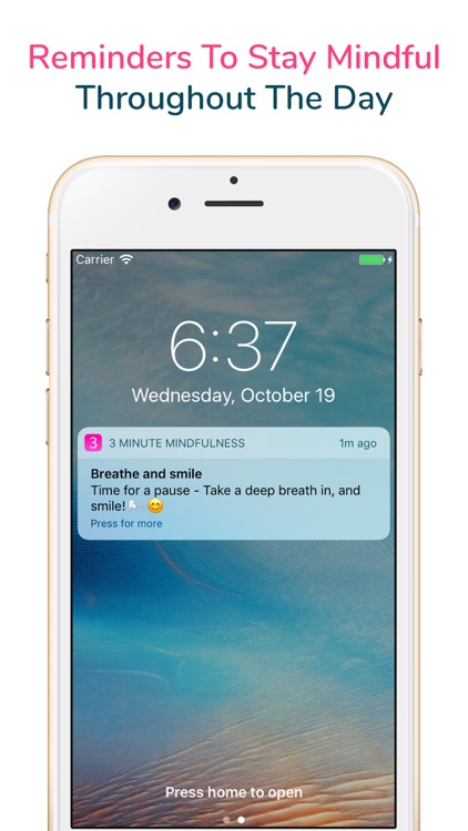 3 Minute Mindfulness screenshot-3