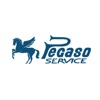 Pegaso Service