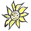 Sunflower U.P. FCU