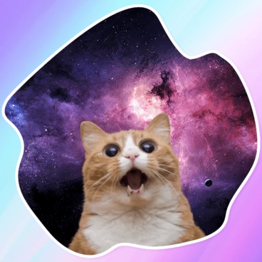 Space Cats! Stickers icon