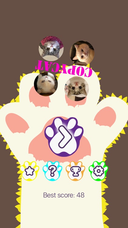 CopyCat - Cute Cats (Marbles and Sesame) Matching screenshot-4