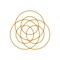 This is the official app for Soteria Des Moines located in West Des Moines, Iowa