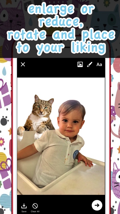 Cats in your photos