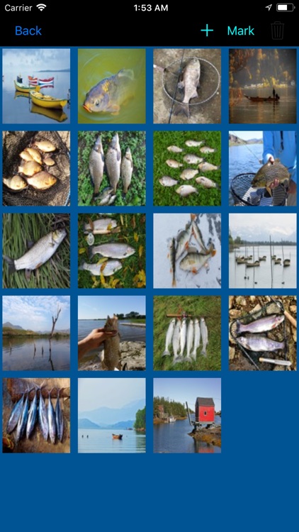 USA Fishing Lakes - The Top screenshot-3