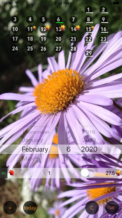 Only For Women - Calendar W screenshot-4