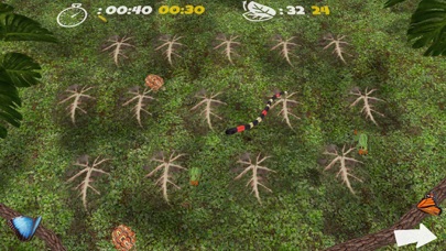 Critter Match screenshot 4