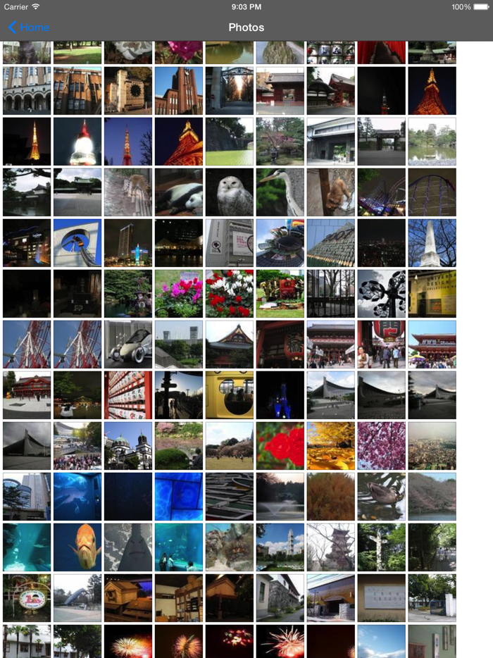 Tokyo Travel Guide Offline