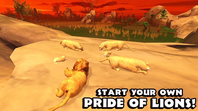 Safari Simulator: Lion(圖2)-速報App