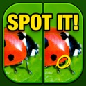 What's the Difference? Spot It icon