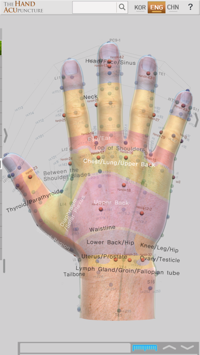 Hand Acupuncture screenshot 2