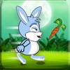 Bownesian Bunny Bounce