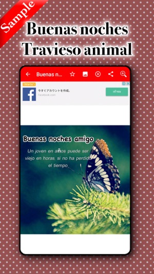 Buenos Dias BuenasNoches(圖4)-速報App