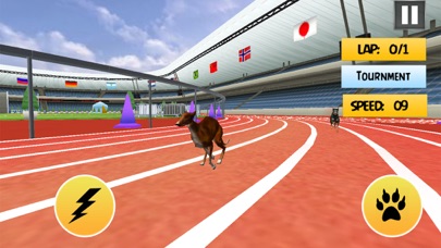 Dog Racing Game: Wild Animal screenshot 3