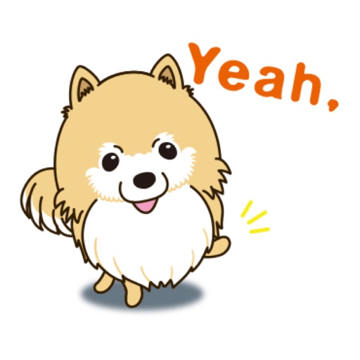 Pomeranian Dog Stickers icon