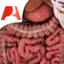 Get High School Anatomy for iOS, iPhone, iPad Aso Report