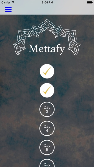 Mettafy screenshot 2
