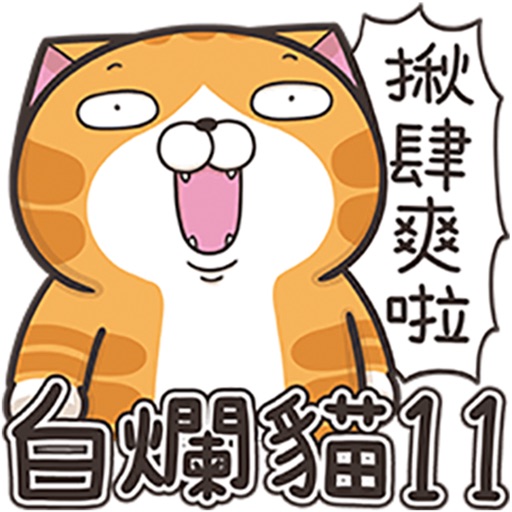 臭跩猫爱呛人11-白烂猫超级萌 icon