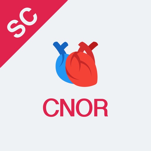 CNOR Test Prep 2018 icon