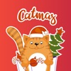 Catmas or Christmas! Puns Funs
