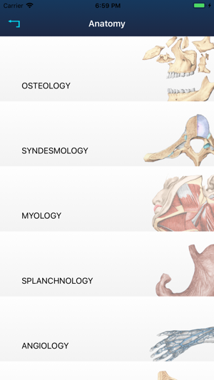 RF Anatomy(圖3)-速報App