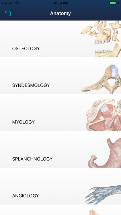 RF Anatomy