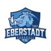 TG 07 Eberstadt Handball