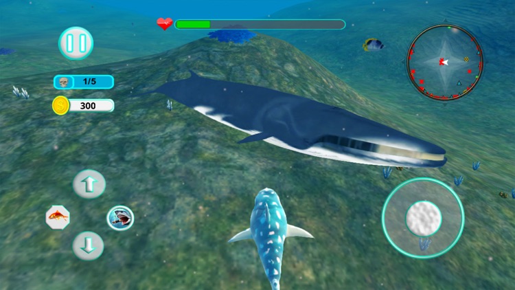 Shark Attack Evolution 3D screenshot-3