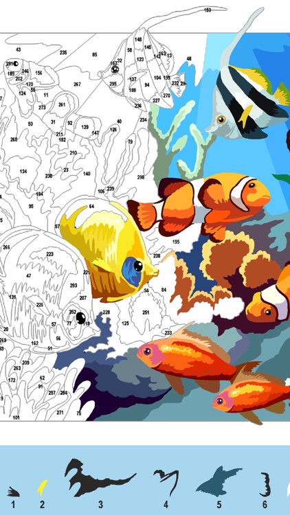 Color by Number Adult coloring