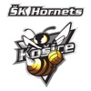 ŠK Hornets