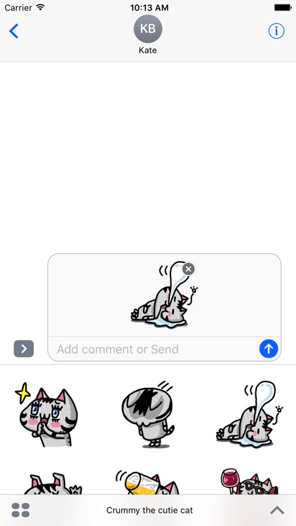 Crummy the cutie cat