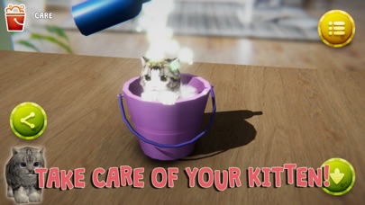 Virtual Kitty screenshot 3
