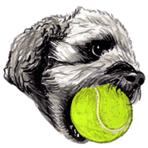Toy Poodle Dog Emoij Sticker icon
