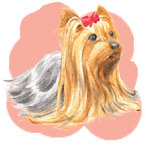 Adorable Yorkie Dog Sticker icon