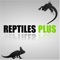 We are an exotic animal pet shop based in Bournemouth